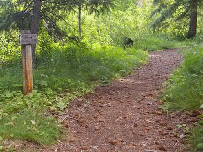 Wood River Group Overnight Area (Tent Only) campground