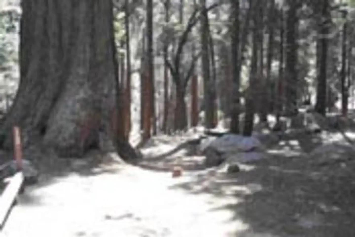 Belknap campground