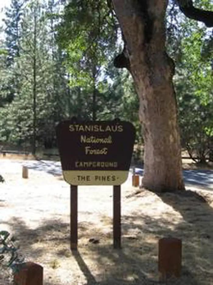 Pines Group Stanislaus campground