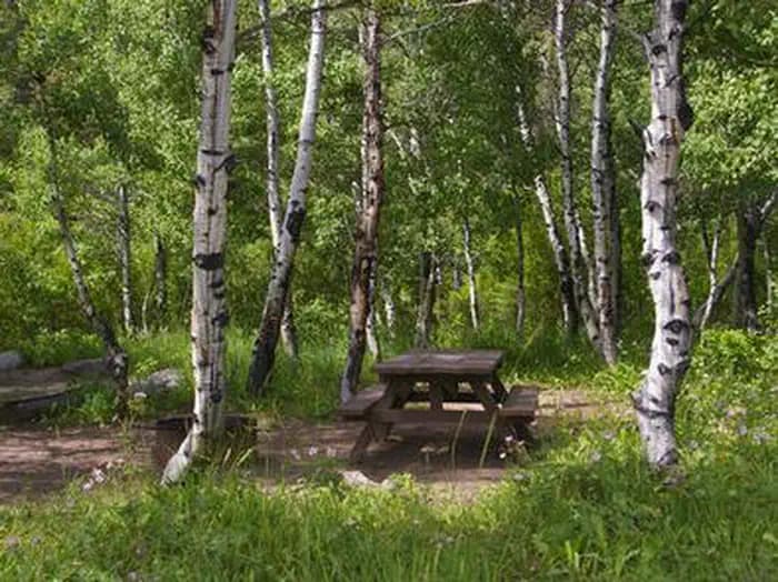 North Fork campground