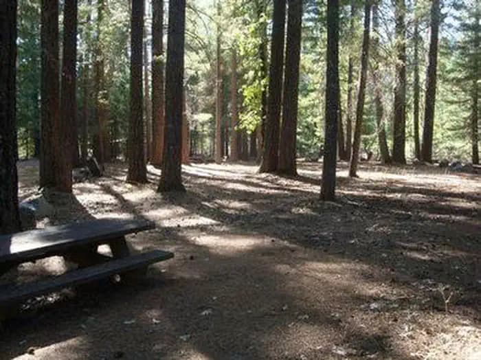 Mad River Campground campground