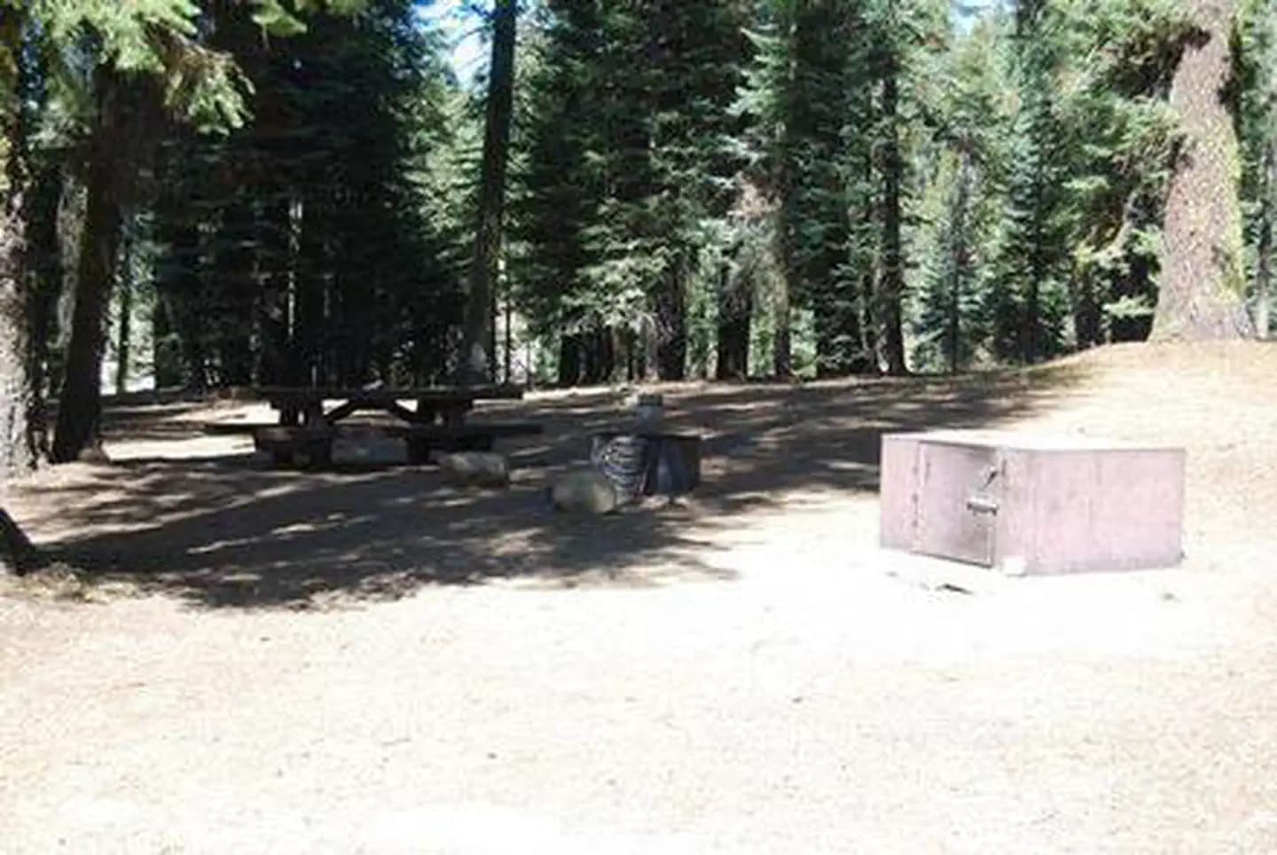 Stony Creek Sequoia campground