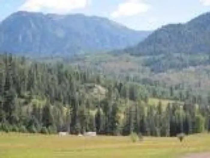 Williams Creek Campground campground