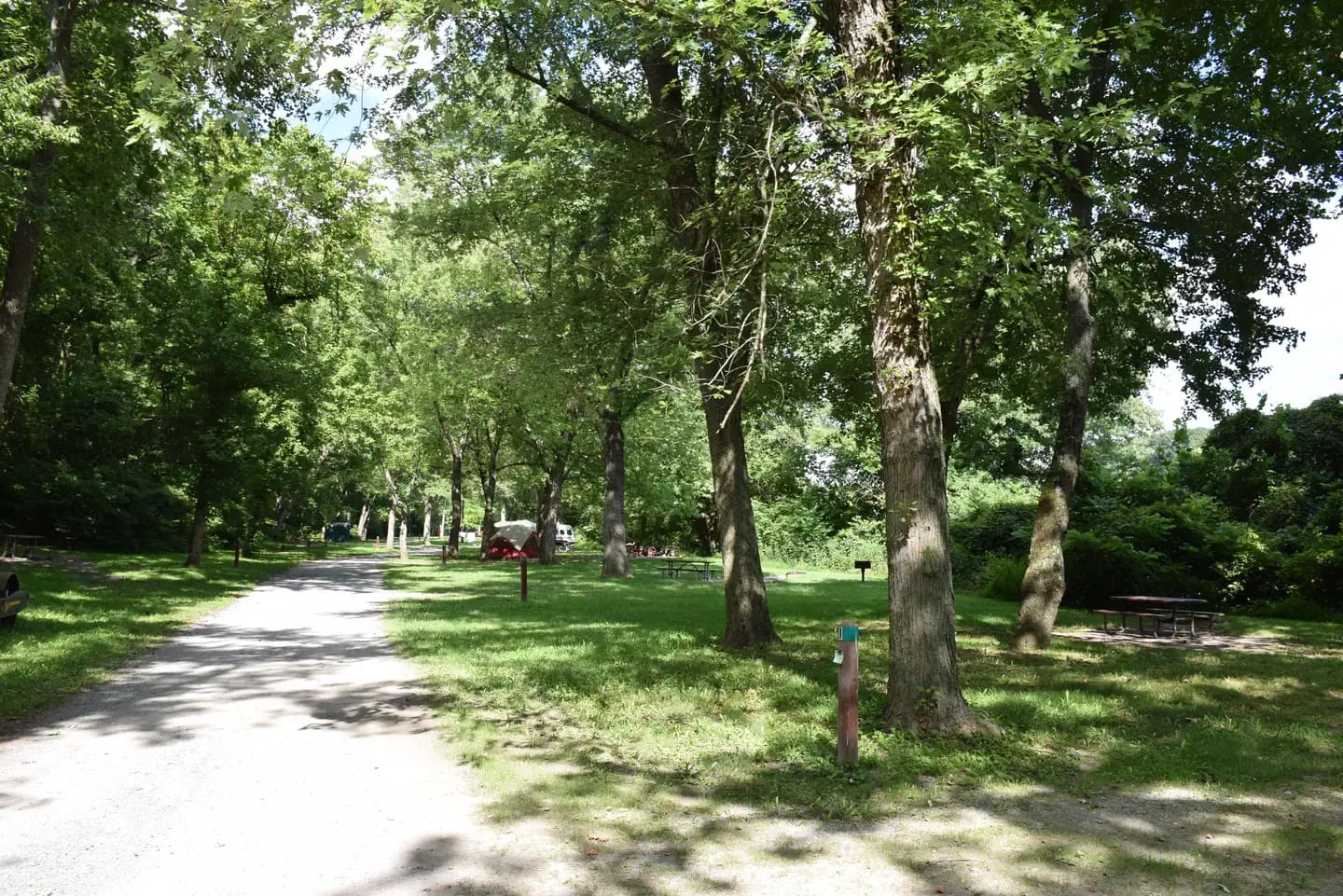 Path to campsites and a few campsites