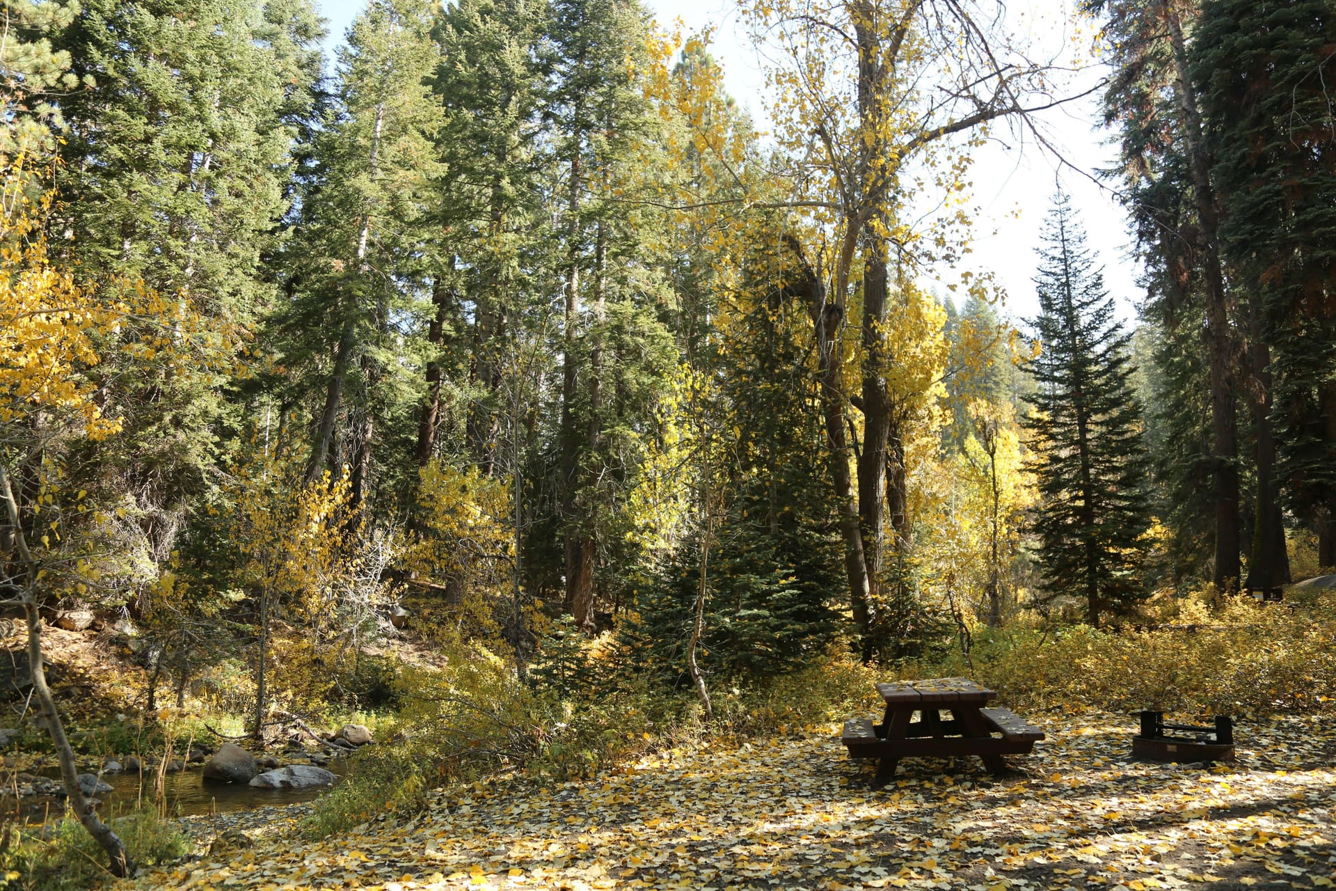 Sequoia & Kings Canyon National Parks recreation area