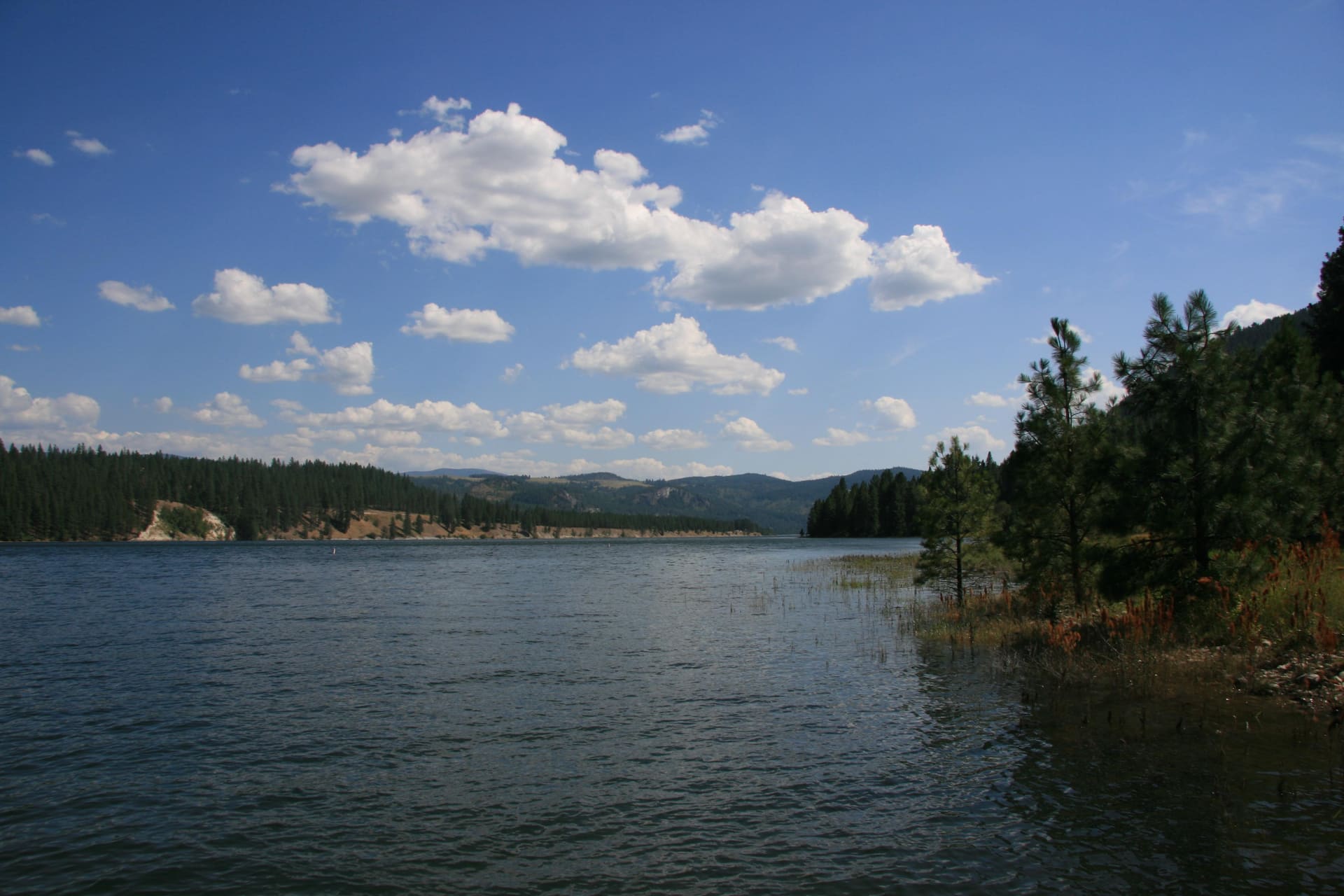 Lake View