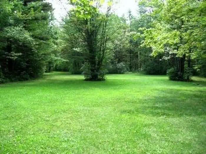 POTOMAC GROUP CAMPGROUND 4