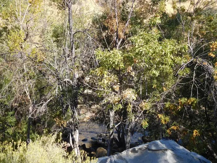 Hospital Flat campground