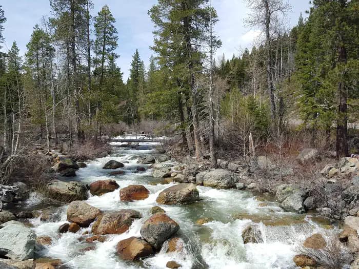 Salmon Creek campground
