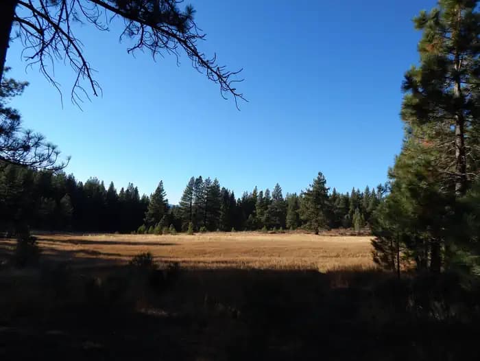 Boca Spring campground