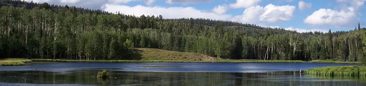 Dixie National Forest recreation area