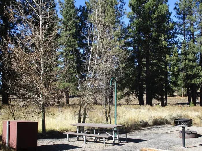 Alpine Meadow Campground campground