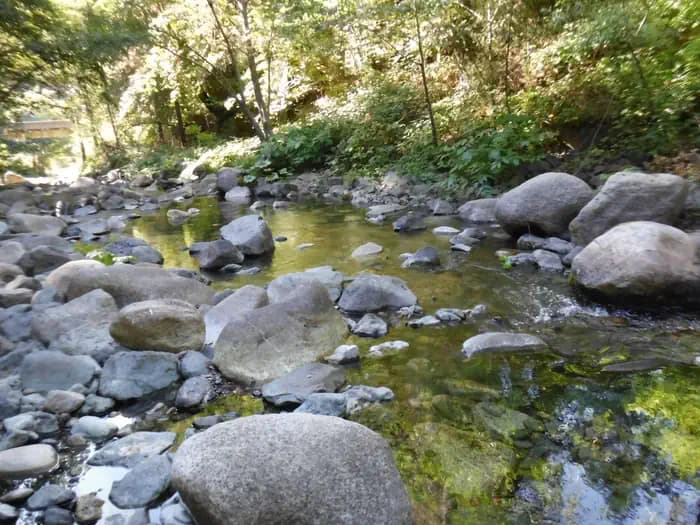 Cal-Ida campground