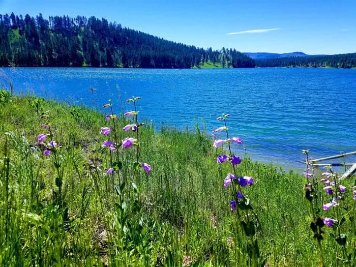 Dutchman campground