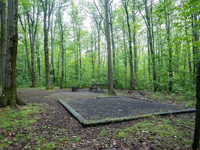 Blueberry Patch Campground campground