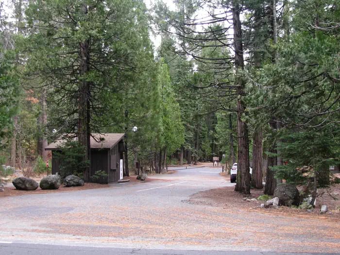 Pinecrest campground