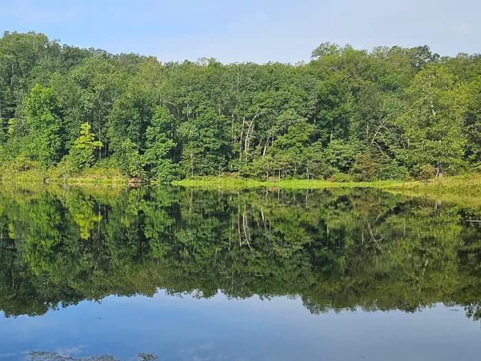 Loggers Lake Campground campground
