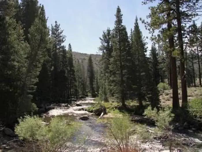 Robinson Creek South campground