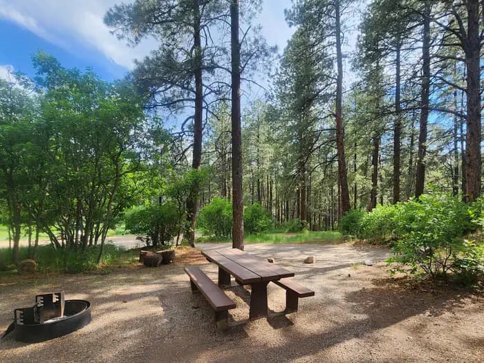 Junction Creek Campground campground