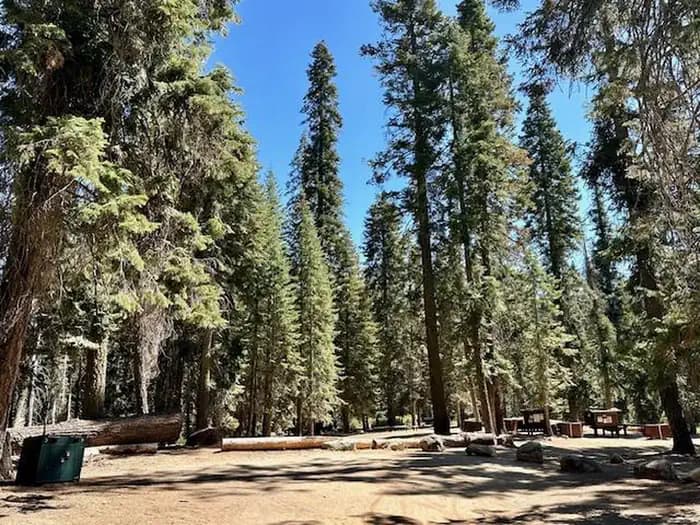 Fir Group campground