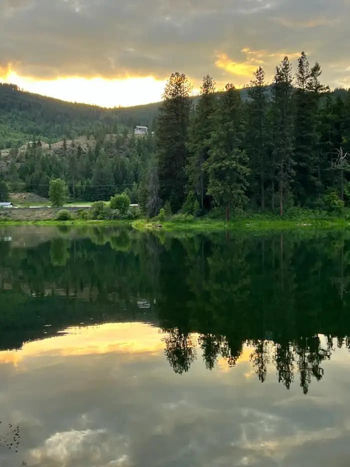 Riley Creek campground