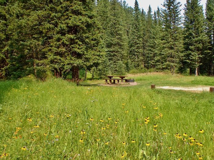 Ditch Creek Campground campground
